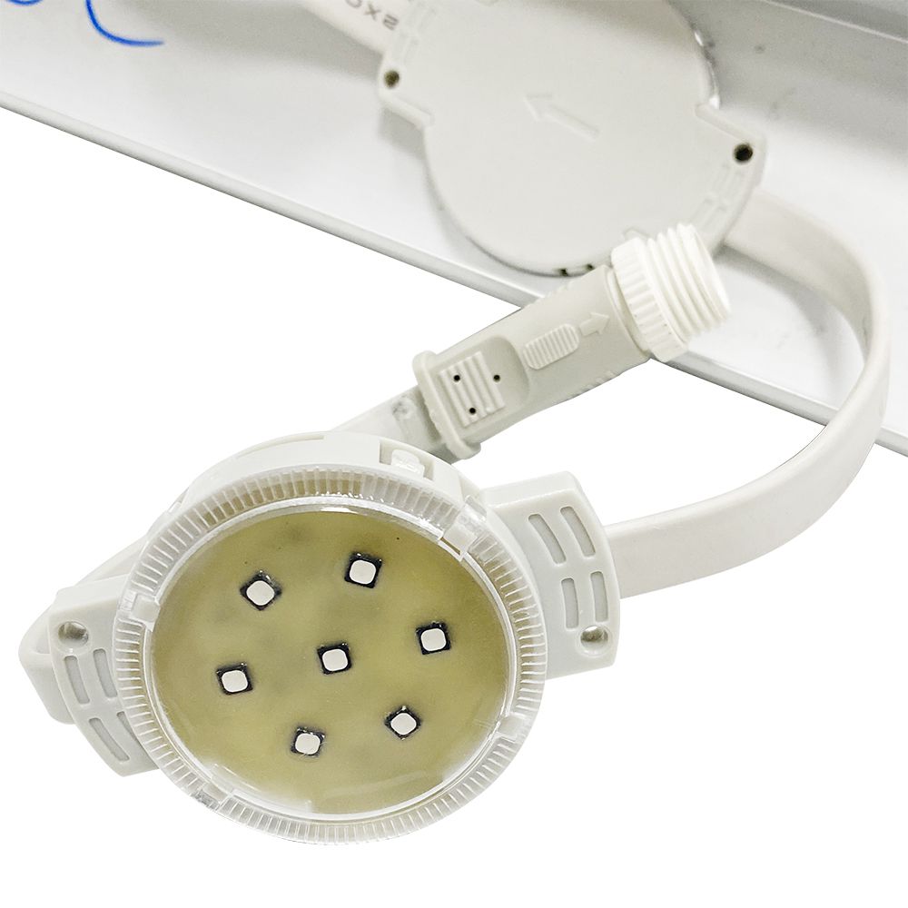 海博论坛·hibet(中国) - 担保首页